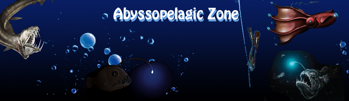 slider image Abyssopelagic region