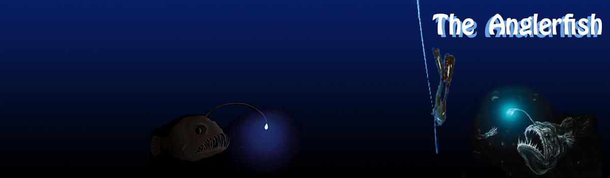 Image of Anglerfish