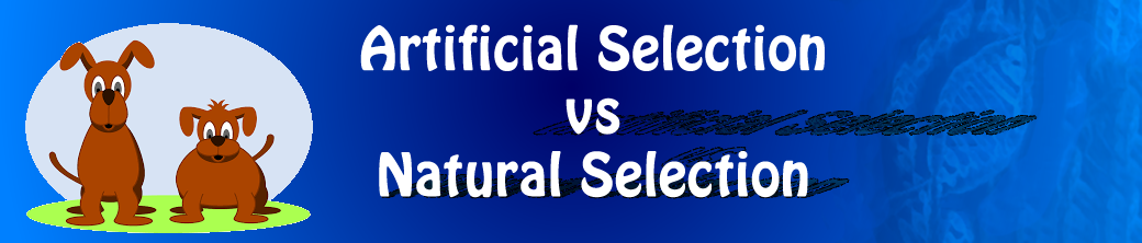 Header Artificial Selection vs Natural Selection