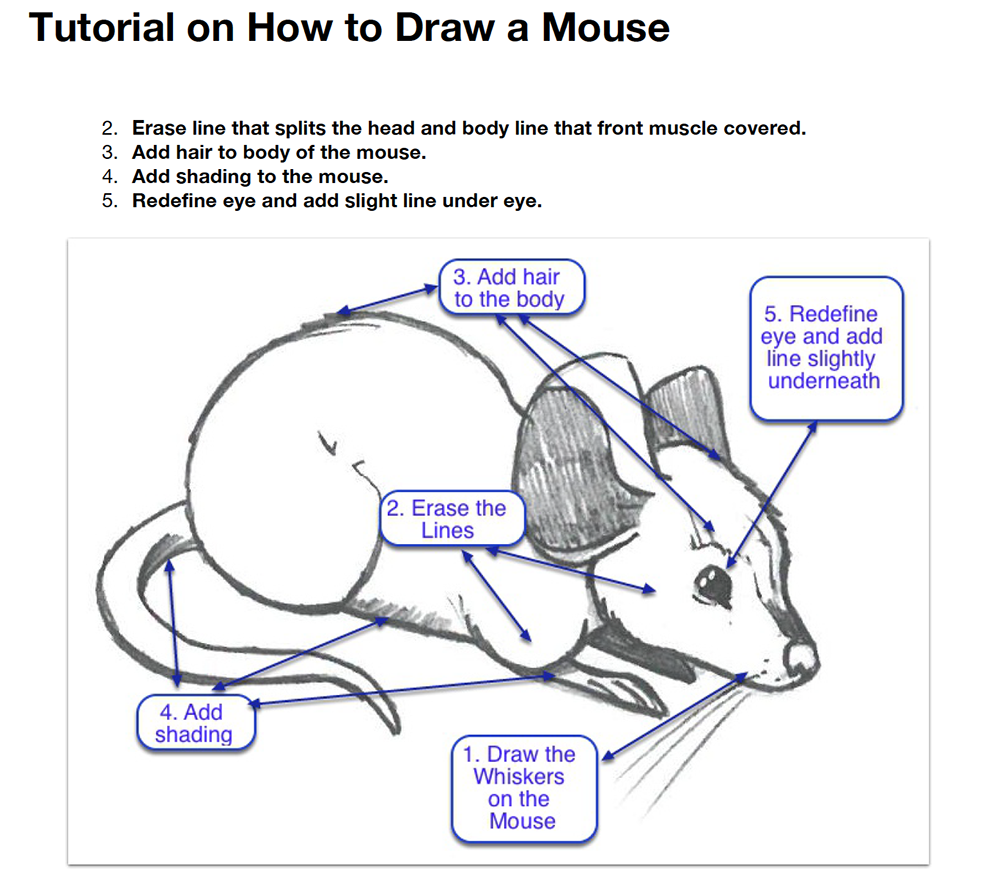 Visual Aids on How to Draw a Mouse