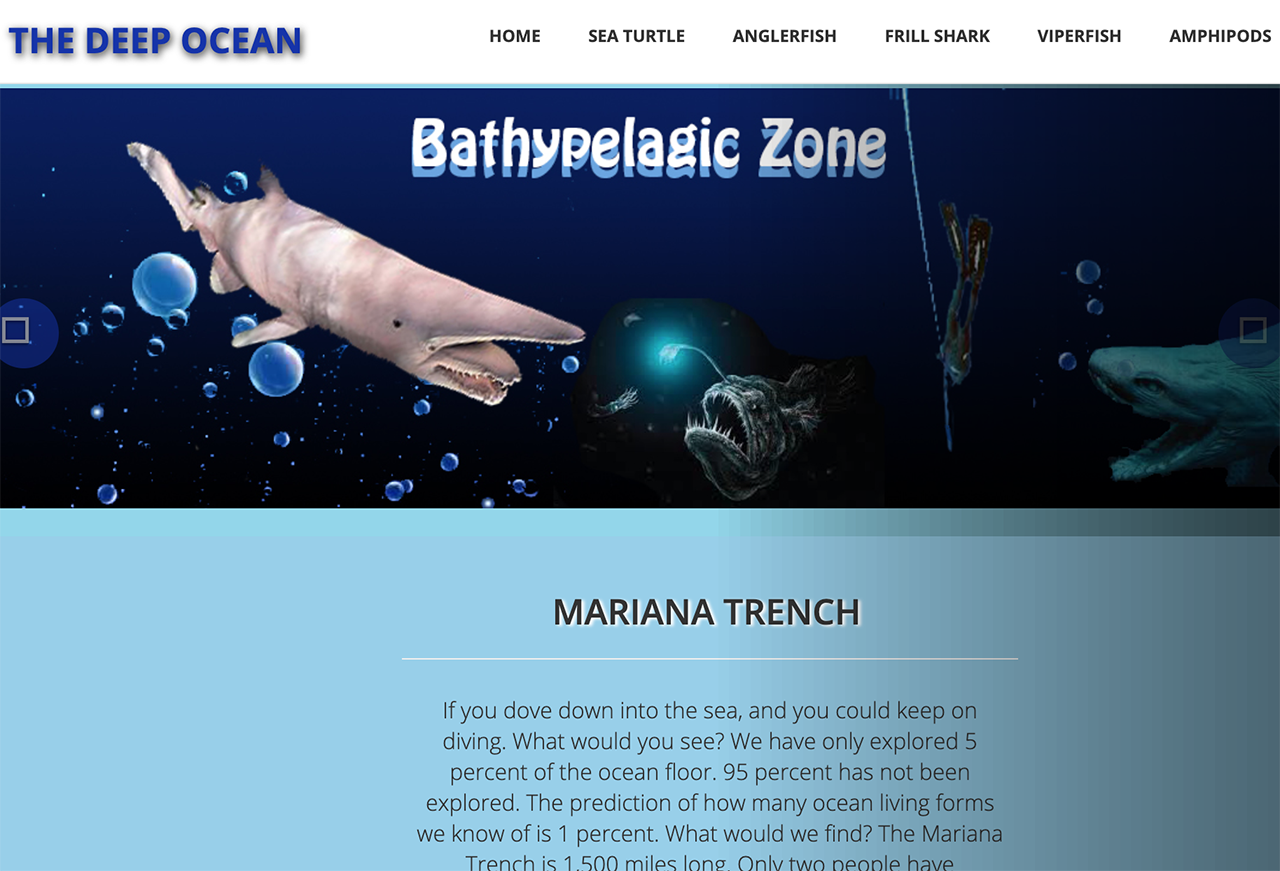 A Virtual Image Tour of the Mariana Trench